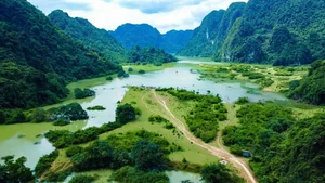 Dong Lam Steppe: A Picturesque Travel Guide to Vietnam's Hidden Picnic Gem - image 9