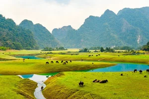 Dong Lam Steppe: A Picturesque Travel Guide to Vietnam's Hidden Picnic Gem - image 1