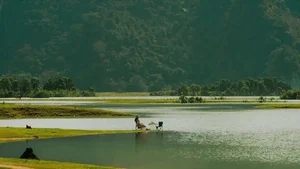 Dong Lam Steppe: A Picturesque Travel Guide to Vietnam's Hidden Picnic Gem - image 2