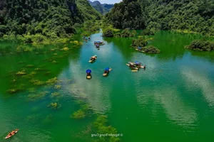 Dong Lam Steppe: A Picturesque Travel Guide to Vietnam's Hidden Picnic Gem - image 10
