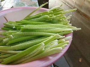 From Famine Food to Gourmet Delicacy: The Rise of Organic Wild Vegetables in Modern Cuisine - image 1