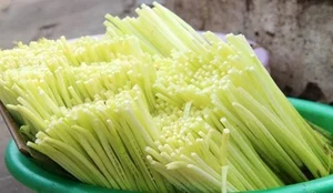 From Famine Food to Gourmet Delicacy: The Rise of Organic Wild Vegetables in Modern Cuisine - image 0