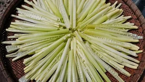From Famine Food to Gourmet Delicacy: The Rise of Organic Wild Vegetables in Modern Cuisine - image 3
