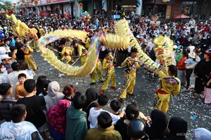 Thousands Gather in Binh Duong for the Vibrant Lady Thien Hau Festival - image 2