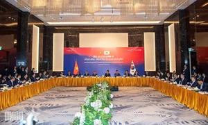 Prime Minister Le Minh Hung Meets with South Korean President Lee Jae Myung - image 1