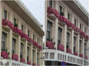 Xiaomi 17T Pro vs Galaxy S26 Plus: Camera Color Science Blind Test - image 8