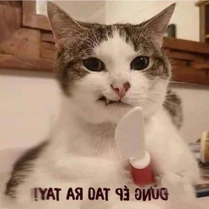 Top 145+ Hilarious and Unique Memes for Instant Stress Relief and Laughs - image 35