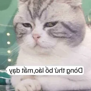 Top 145+ Hilarious and Unique Memes for Instant Stress Relief and Laughs - image 36