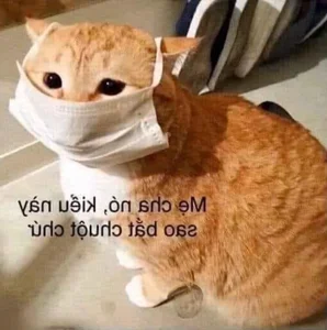 Top 145+ Hilarious and Unique Memes for Instant Stress Relief and Laughs - image 27