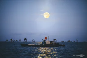 The Year’s Largest Supermoon Lights Up the Night Sky Across Vietnam - image 6