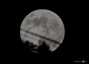 The Year’s Largest Supermoon Lights Up the Night Sky Across Vietnam - image 4