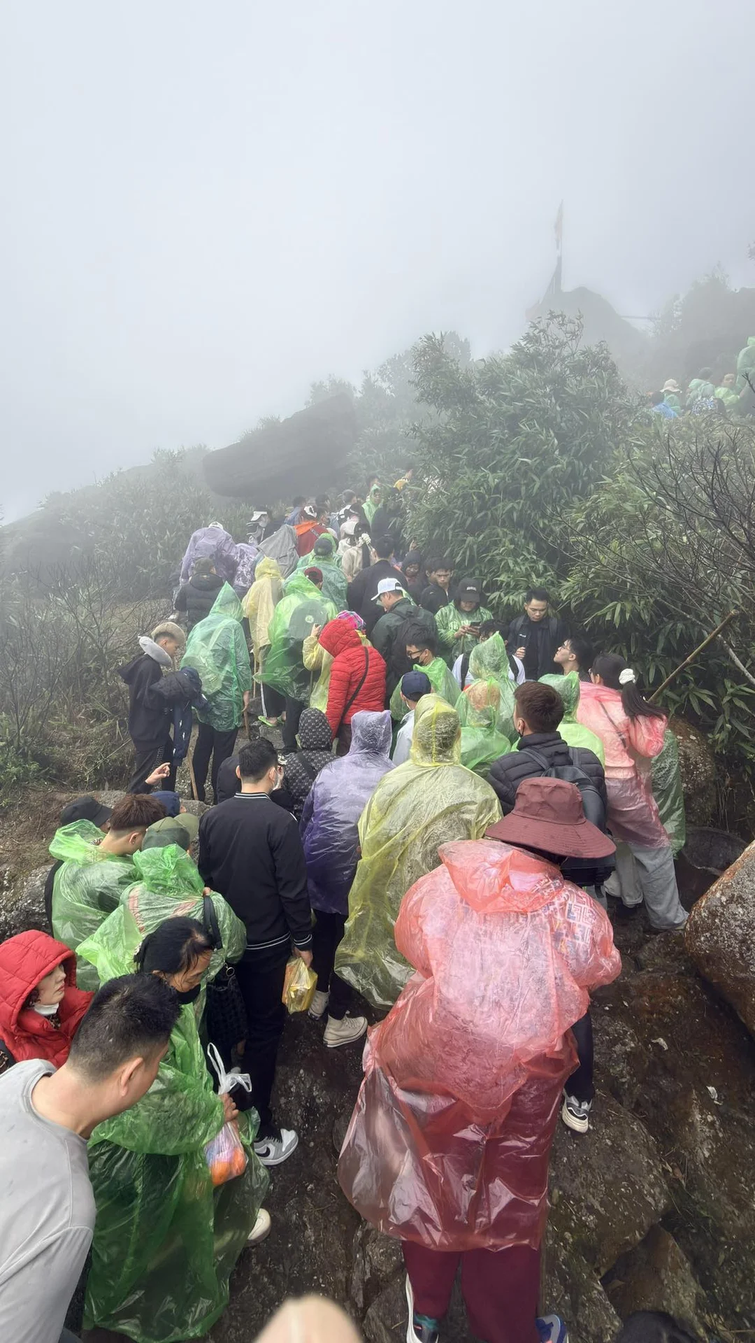 Early Morning Pilgrimage: Thousands Gather at Sacred Peaks