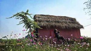 Inside the Lush Green Oasis of Famous Vietnamese Actress Tu Oanh - image 3