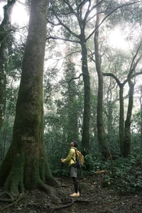 Trekking Lang Biang Mountain: A Day Trip with Local Guides in Dalat - image 0