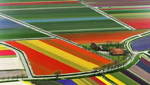 Breathtaking Aerial Views: The World's Natural Beauty from Above - image 9