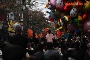 Experience the Vibrant Dong Ky Firecracker Procession Festival: A Deep Dive into Vietnamese Cultural Traditions and Heritage - image 7