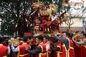 Experience the Vibrant Dong Ky Firecracker Procession Festival: A Deep Dive into Vietnamese Cultural Traditions and Heritage - image 9