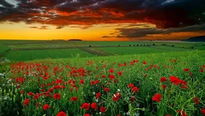 Explore 100+ stunning Full HD nature and landscape wallpapers for desktop - image 75