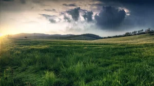 Explore 100+ stunning Full HD nature and landscape wallpapers for desktop - image 17