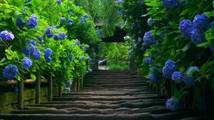 Explore 100+ stunning Full HD nature and landscape wallpapers for desktop - image 69