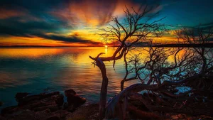 Explore 100+ stunning Full HD nature and landscape wallpapers for desktop - image 72
