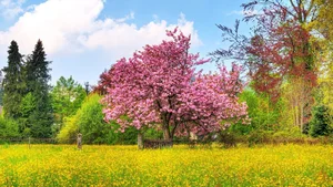 Explore 100+ stunning Full HD nature and landscape wallpapers for desktop - image 15