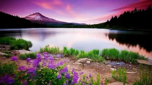 Explore 100+ stunning Full HD nature and landscape wallpapers for desktop - image 30