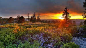 Explore 100+ stunning Full HD nature and landscape wallpapers for desktop - image 70
