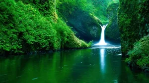 Explore 100+ stunning Full HD nature and landscape wallpapers for desktop - image 56