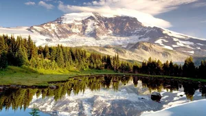 Explore 100+ stunning Full HD nature and landscape wallpapers for desktop - image 20