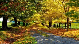 Explore 100+ stunning Full HD nature and landscape wallpapers for desktop - image 103