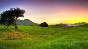Explore 100+ stunning Full HD nature and landscape wallpapers for desktop - image 5