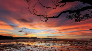 Explore 100+ stunning Full HD nature and landscape wallpapers for desktop - image 66