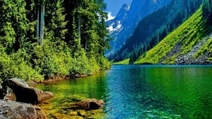 Explore 100+ stunning Full HD nature and landscape wallpapers for desktop - image 92