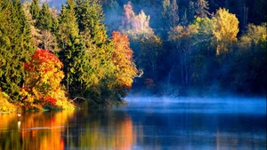 Explore 100+ stunning Full HD nature and landscape wallpapers for desktop - image 68