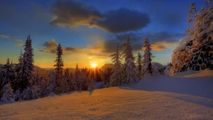 Explore 100+ stunning Full HD nature and landscape wallpapers for desktop - image 61