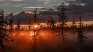 Explore 100+ stunning Full HD nature and landscape wallpapers for desktop - image 55