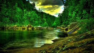 Explore 100+ stunning Full HD nature and landscape wallpapers for desktop - image 40