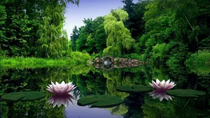 Explore 100+ stunning Full HD nature and landscape wallpapers for desktop - image 60