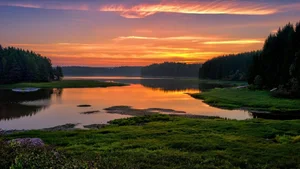 Explore 100+ stunning Full HD nature and landscape wallpapers for desktop - image 87