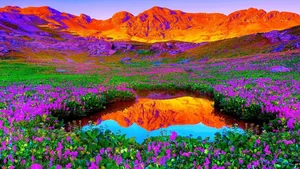 Explore 100+ stunning Full HD nature and landscape wallpapers for desktop - image 79