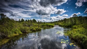 Explore 100+ stunning Full HD nature and landscape wallpapers for desktop - image 8
