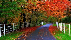 Explore 100+ stunning Full HD nature and landscape wallpapers for desktop - image 71