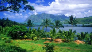 Explore 100+ stunning Full HD nature and landscape wallpapers for desktop - image 1