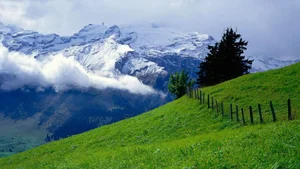 Explore 100+ stunning Full HD nature and landscape wallpapers for desktop - image 78