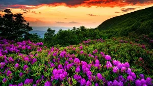 Explore 100+ stunning Full HD nature and landscape wallpapers for desktop - image 73