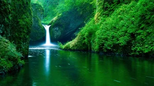 Explore 100+ stunning Full HD nature and landscape wallpapers for desktop - image 18