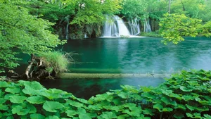 Explore 100+ stunning Full HD nature and landscape wallpapers for desktop - image 13