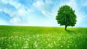 Explore 100+ stunning Full HD nature and landscape wallpapers for desktop - image 3