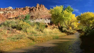 Explore 100+ stunning Full HD nature and landscape wallpapers for desktop - image 39